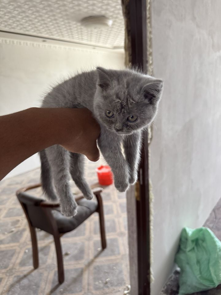 700 000 сум