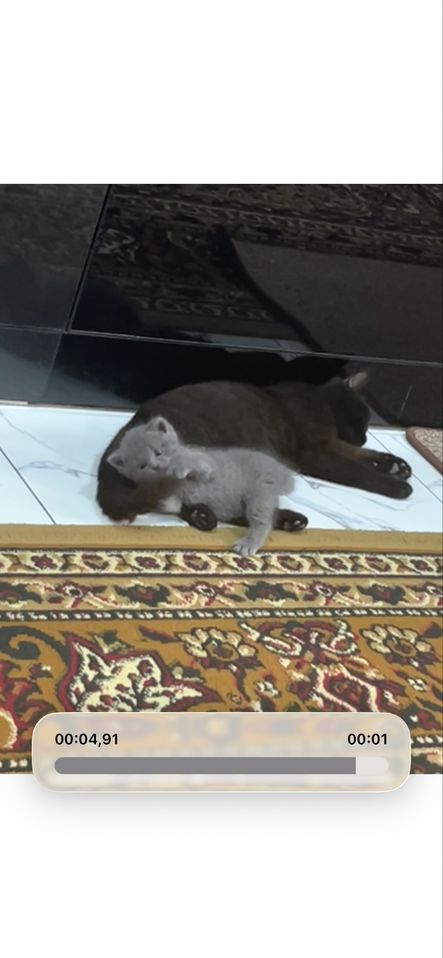 200 000 сум