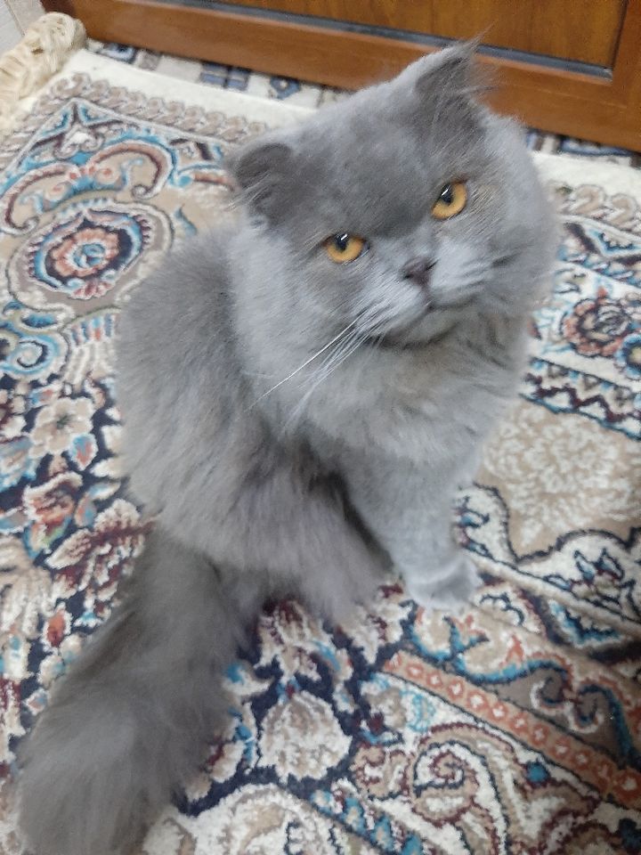 950 000 сум