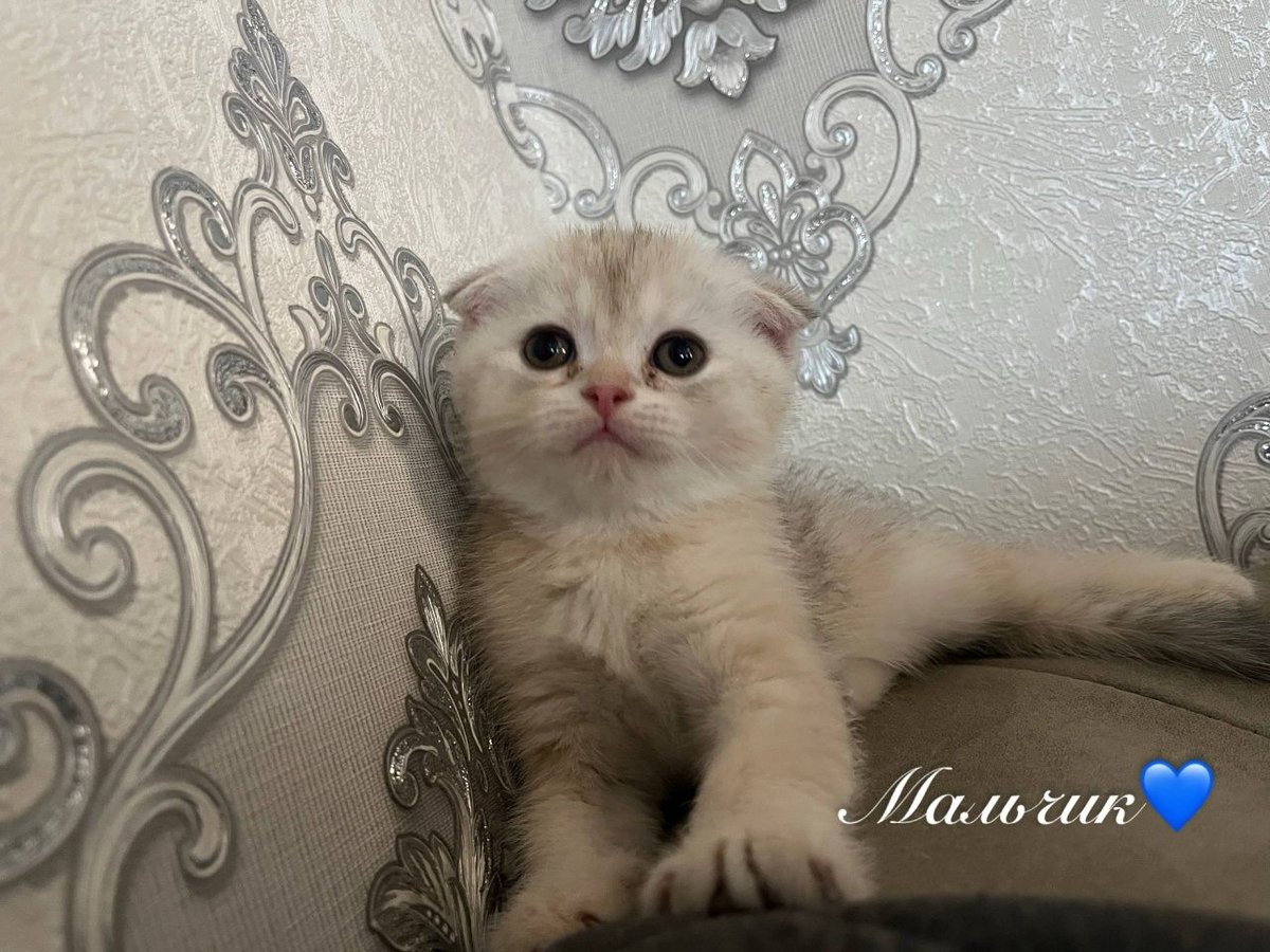 900 000 UZS