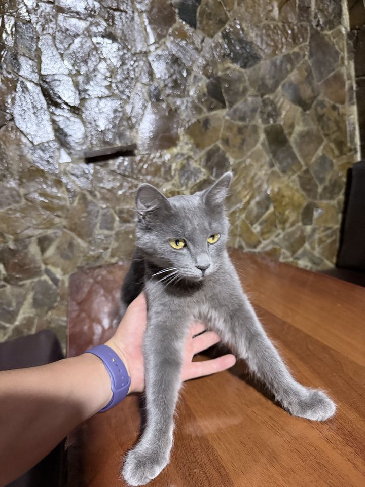 150 USD