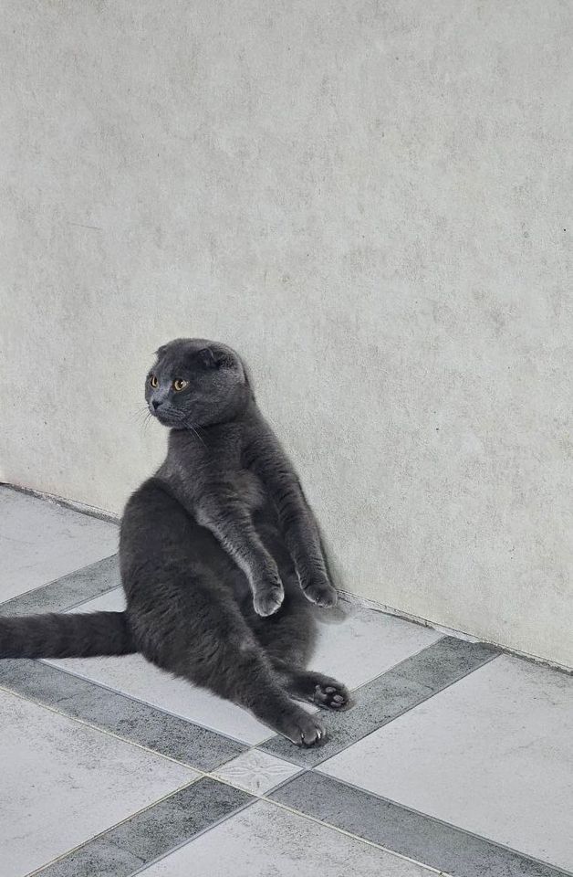 500 000 сум