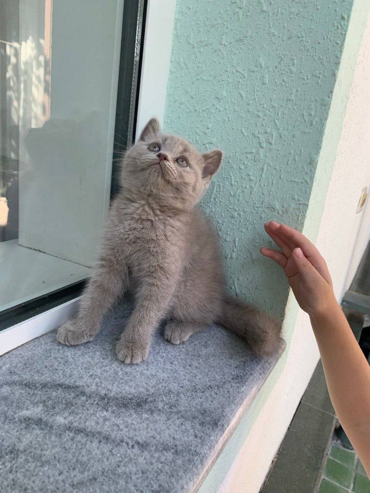 800 000 сум