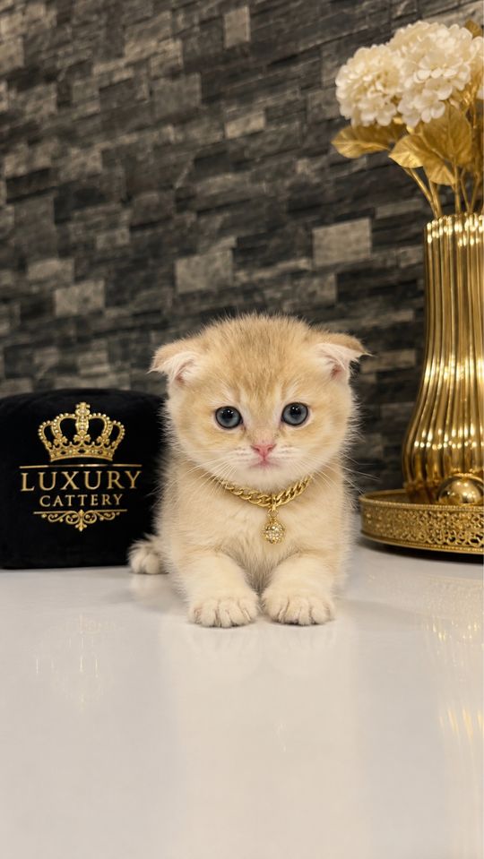 150 USD