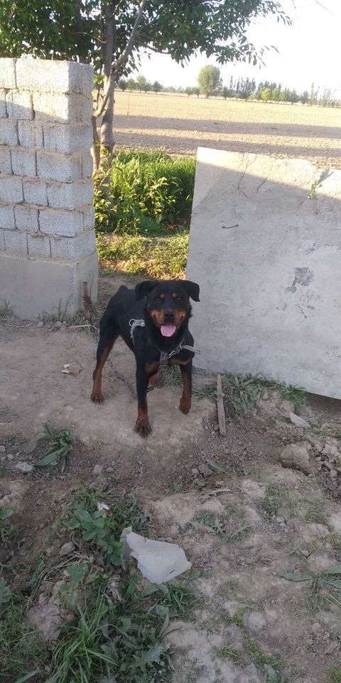 300 USD