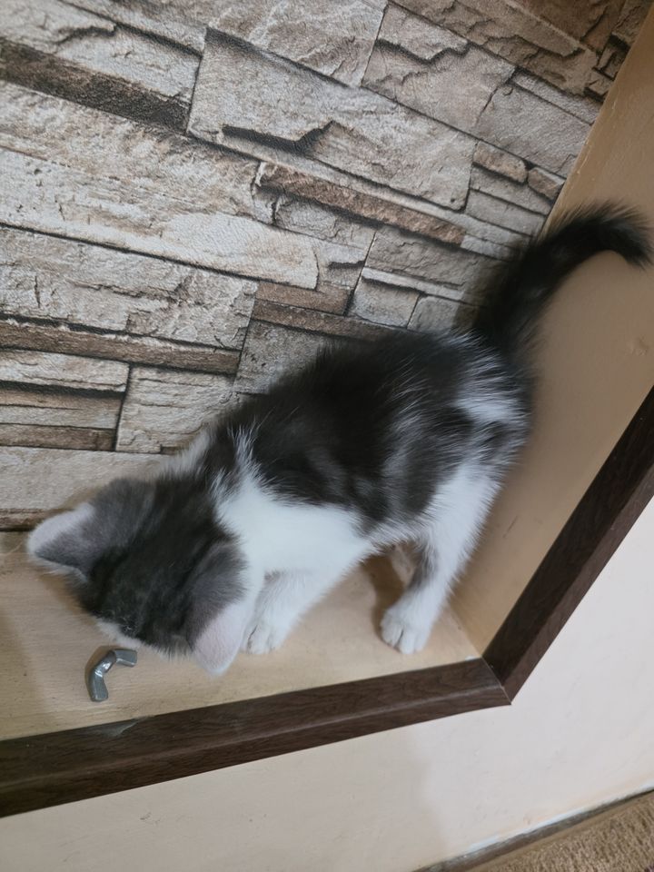 150 000 сум