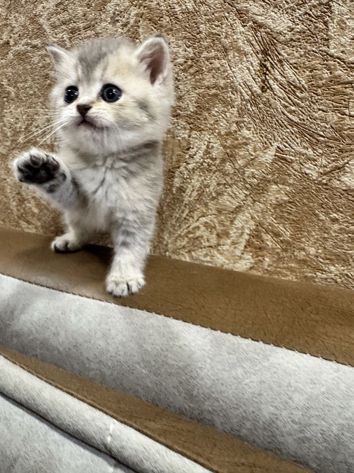 1 000 000 сум