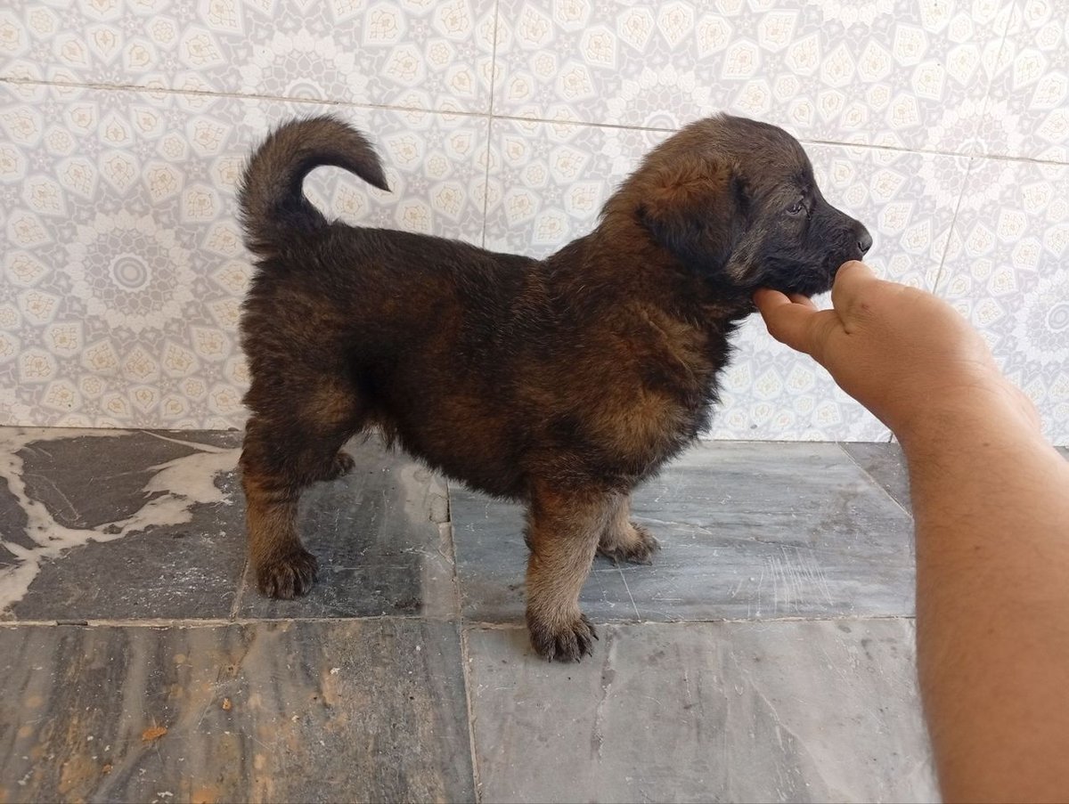 1 000 000 UZS
