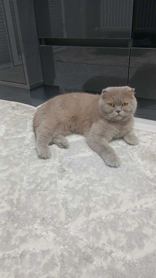 50 USD