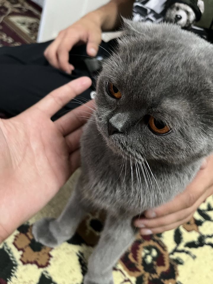 1 250 000 сум