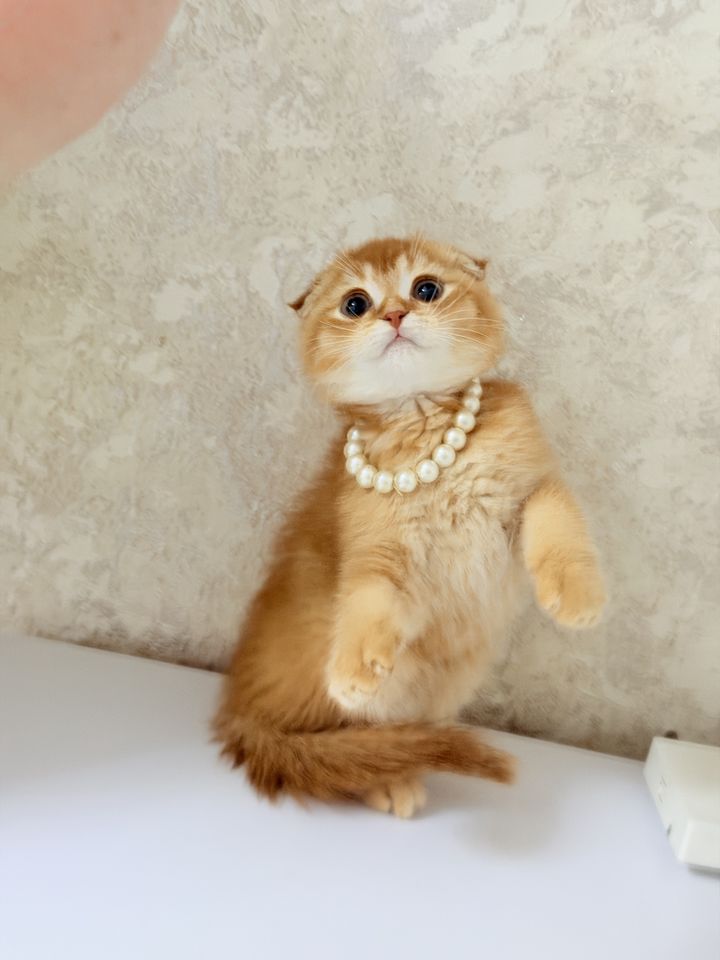 300 USD