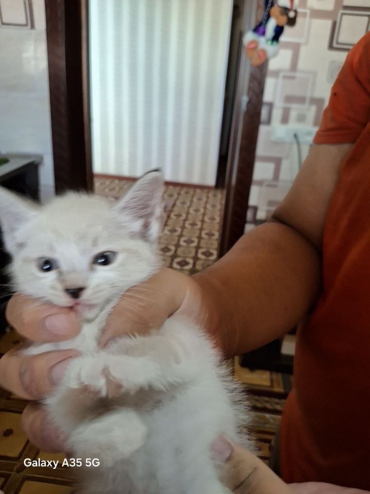 100 000 сум