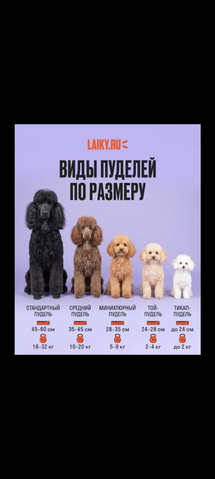 600 USD
