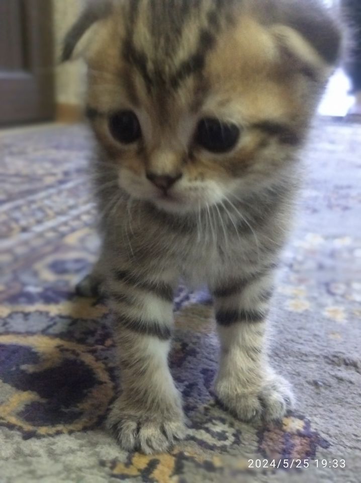 3 500 000 сум
