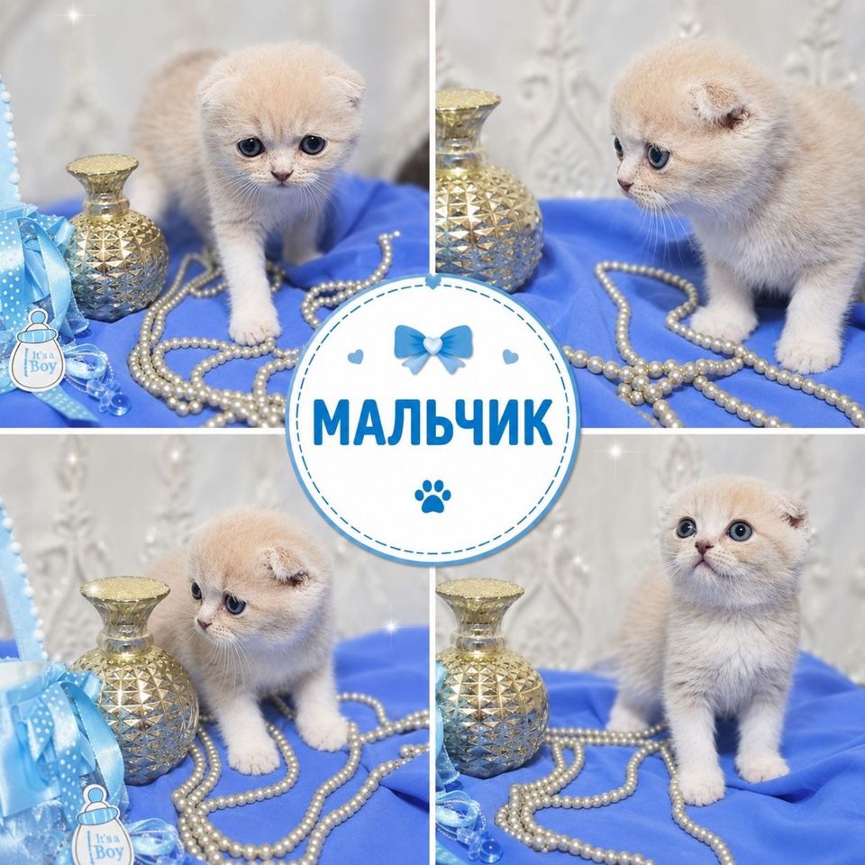 700 000 сум