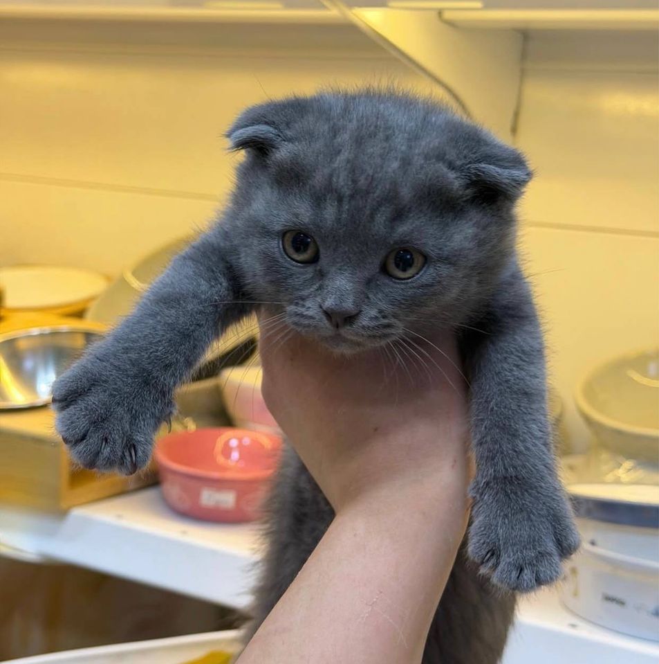 1 200 000 сум