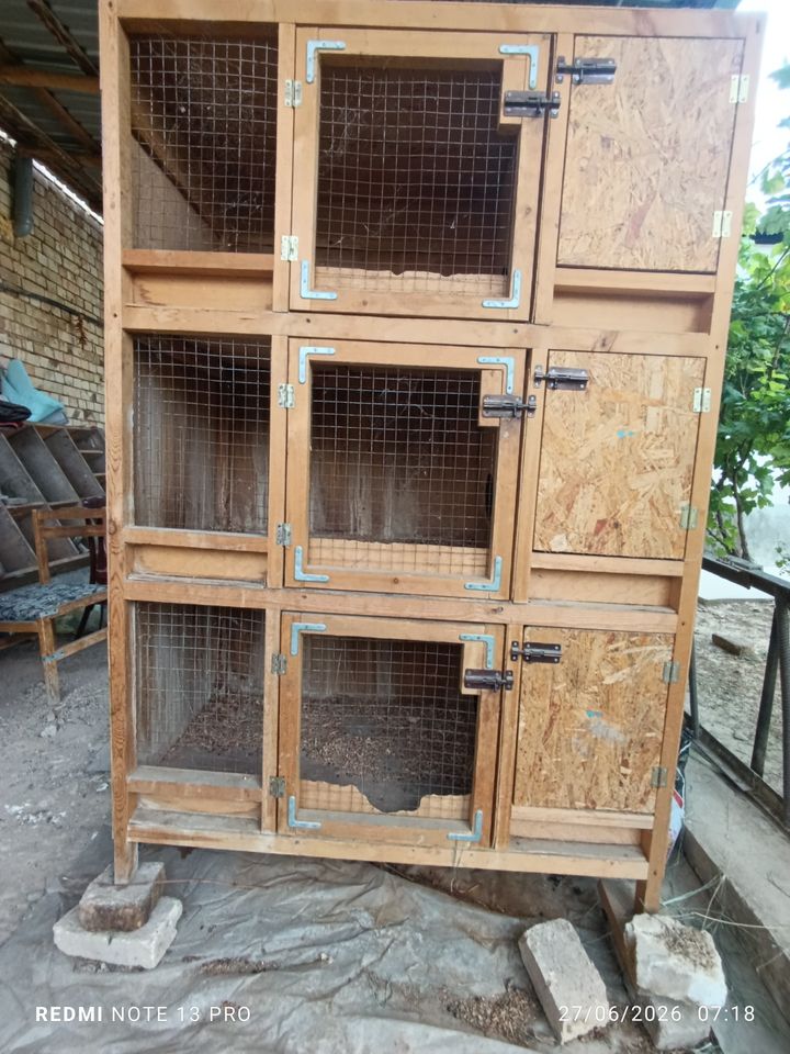 650 000 UZS