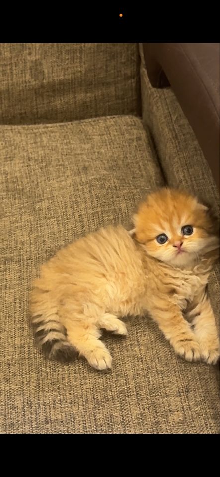 150 USD