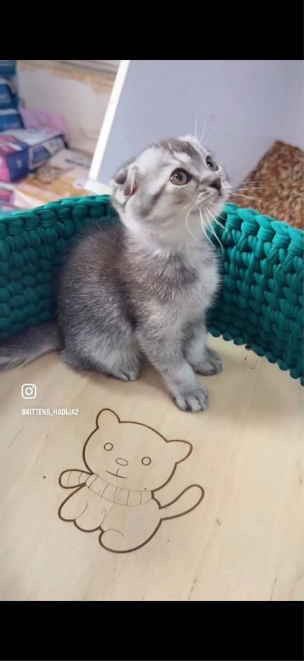 400 000 сум