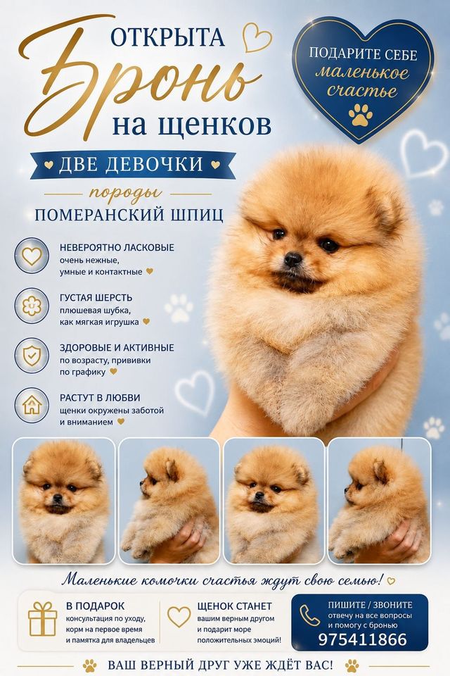 8 300 000 UZS