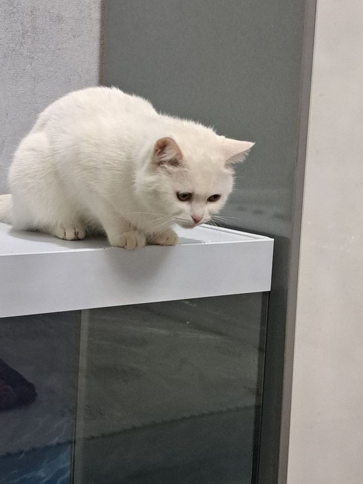 1 800 000 сум