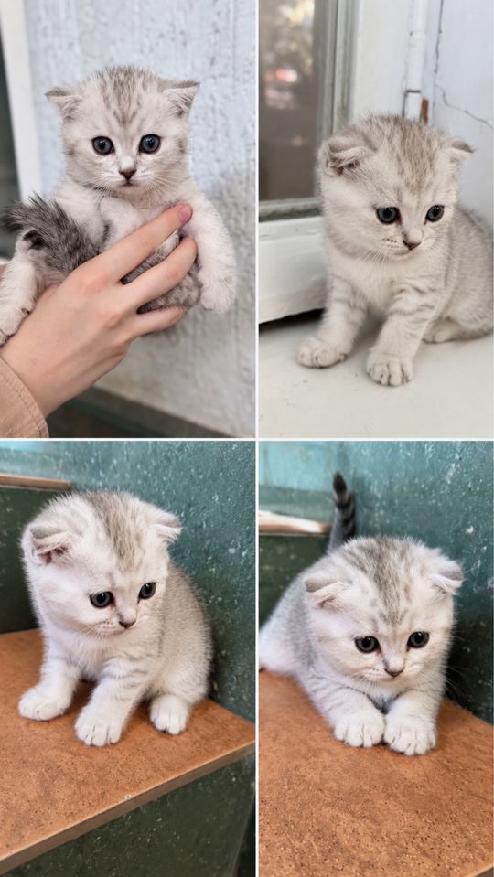1 200 000 сум