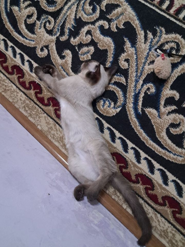 800 000 сум