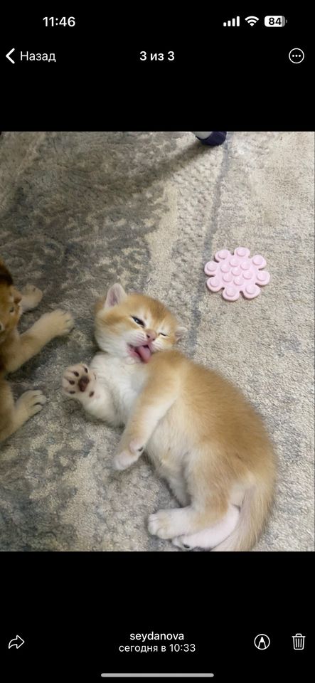 3 000 000 сум