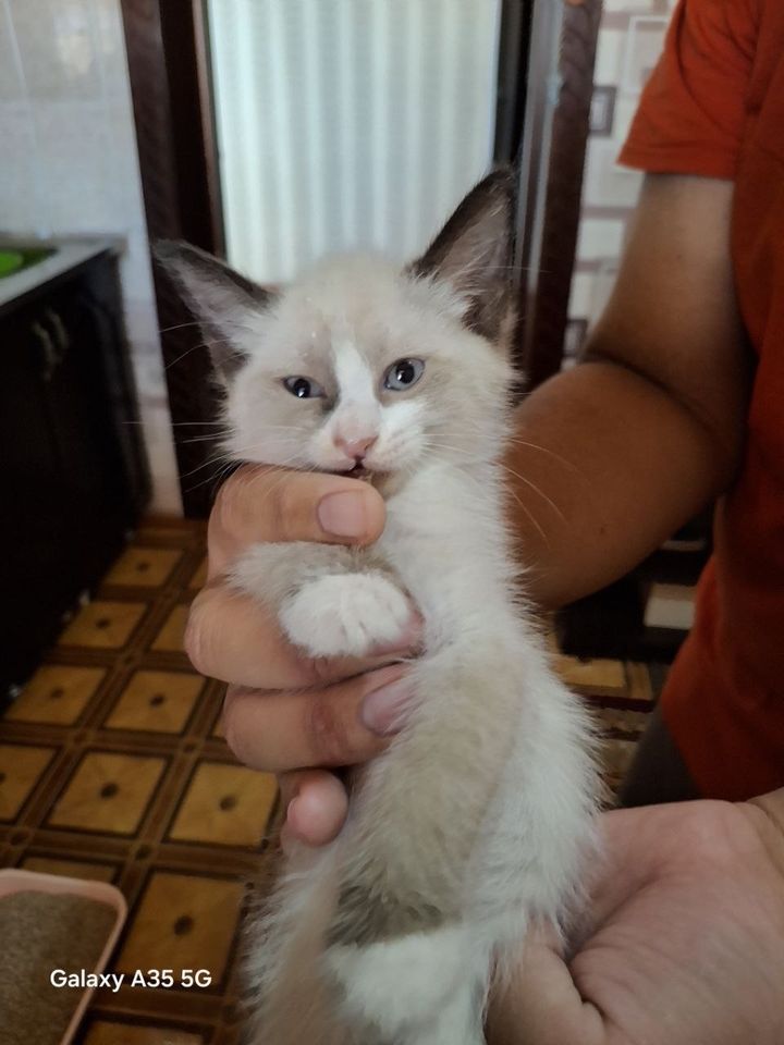 100 000 сум