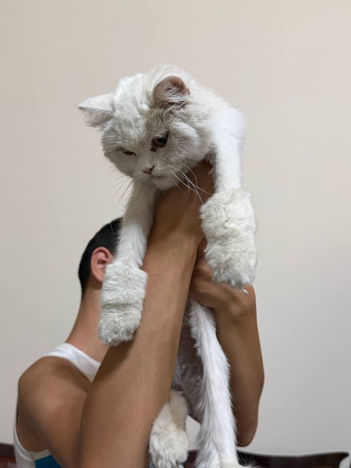 250 000 сум