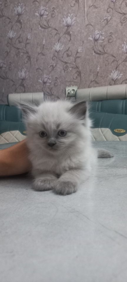 500 000 UZS