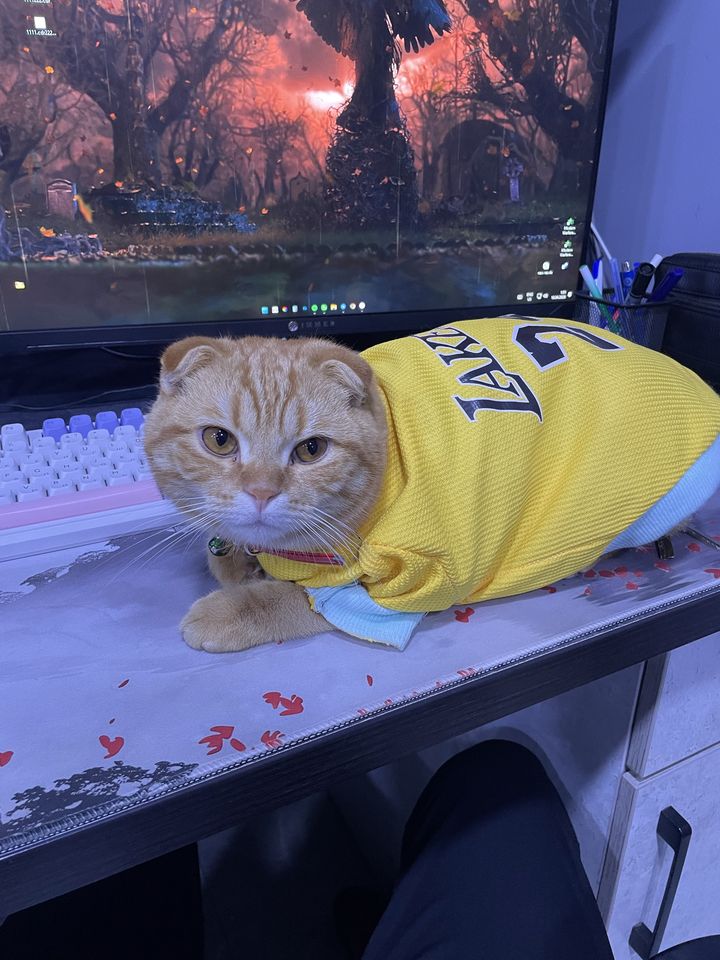 100 USD