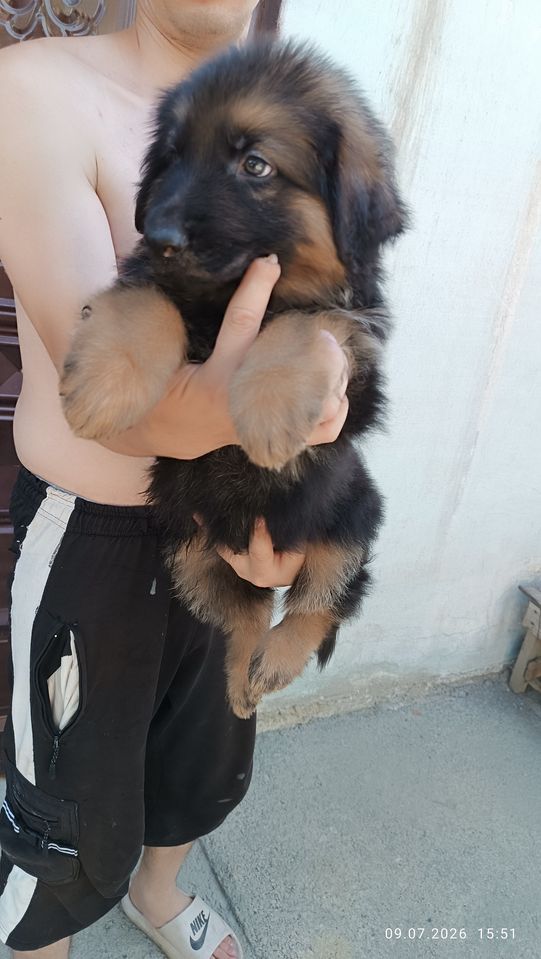 150 USD