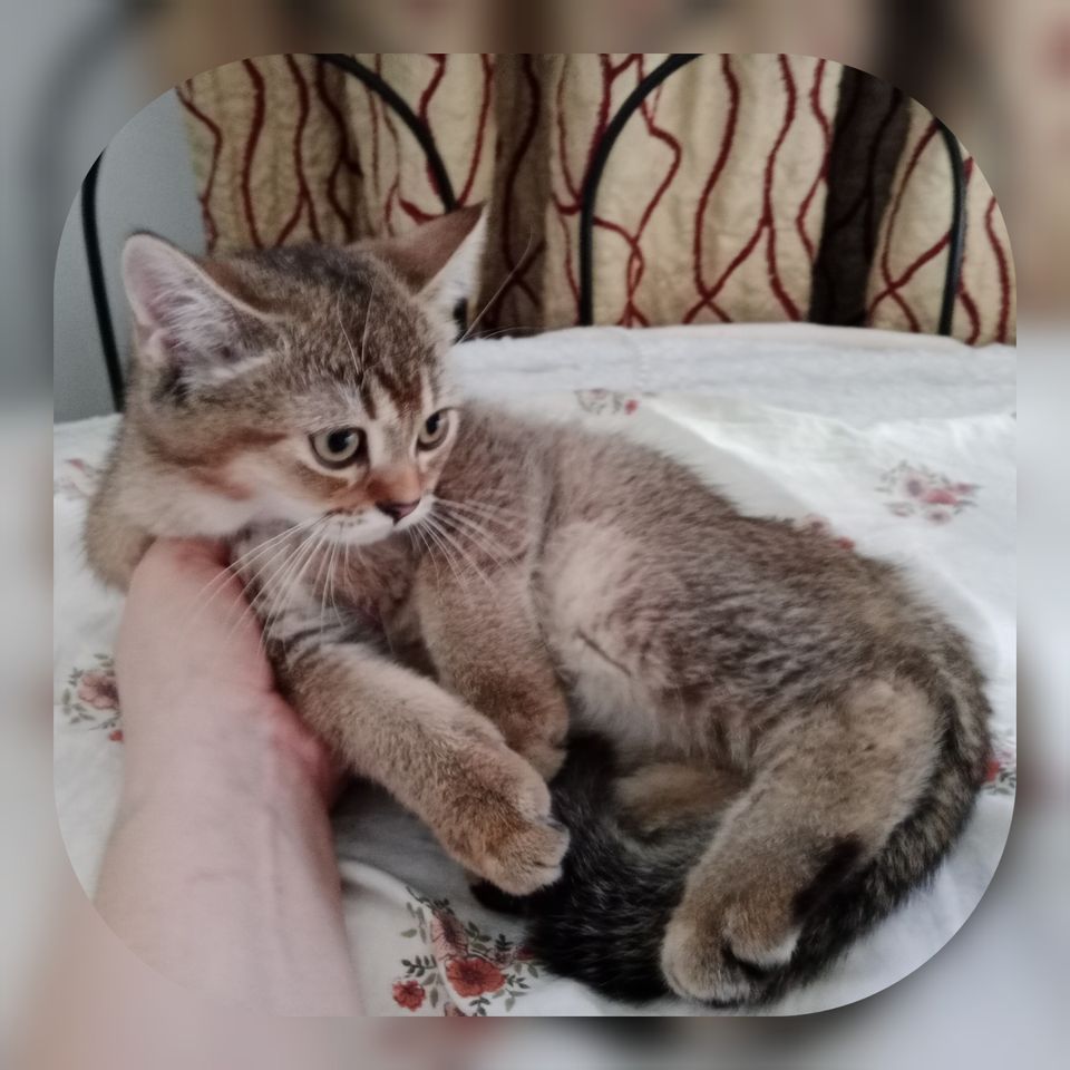 120 USD