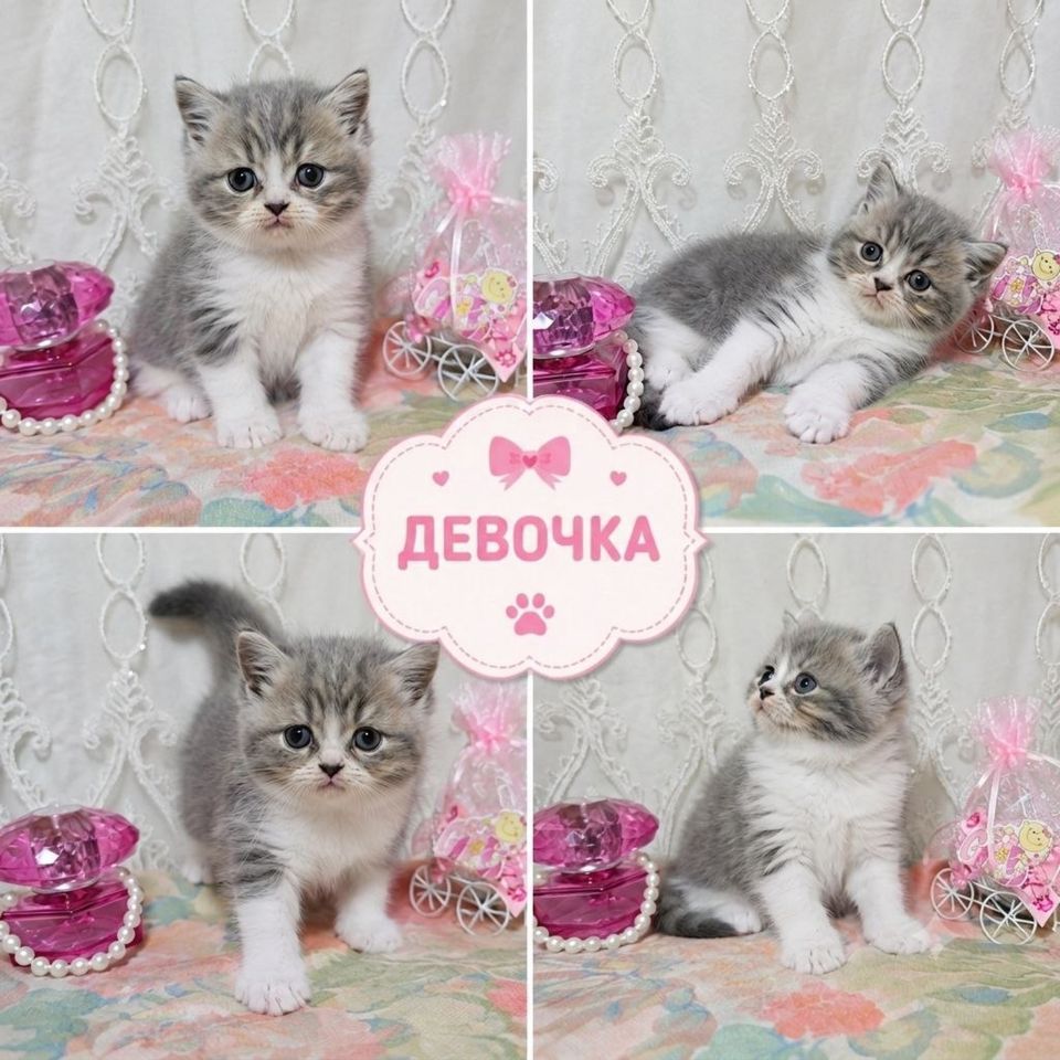 700 000 сум