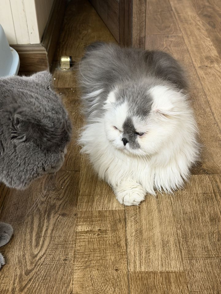 1 000 000 сум