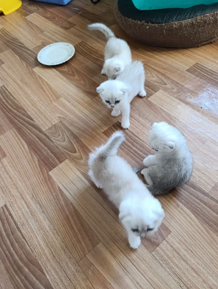 150 USD
