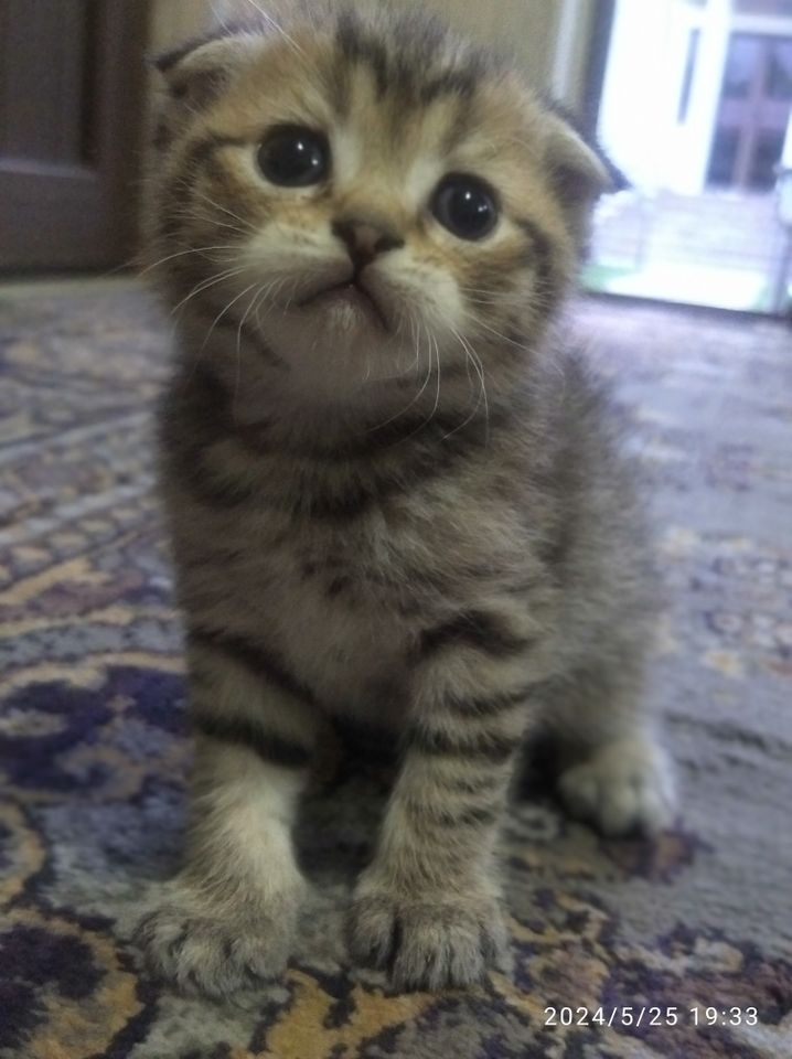 3 500 000 сум