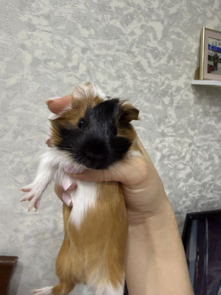 100 000 сум