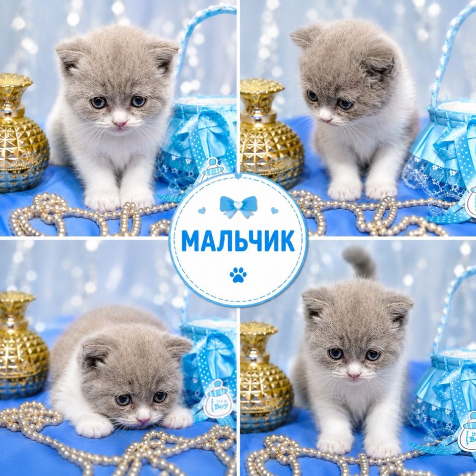 700 000 сум