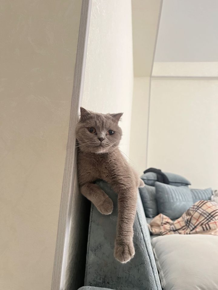 1 500 000 сум