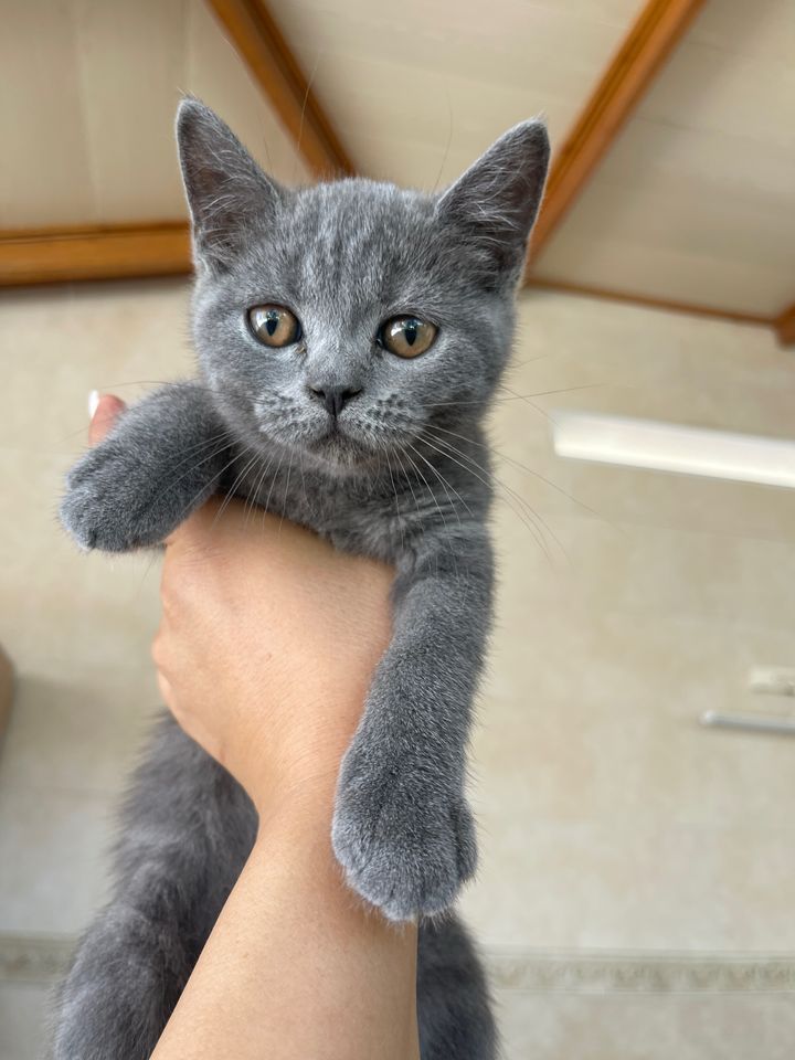 950 000 сум