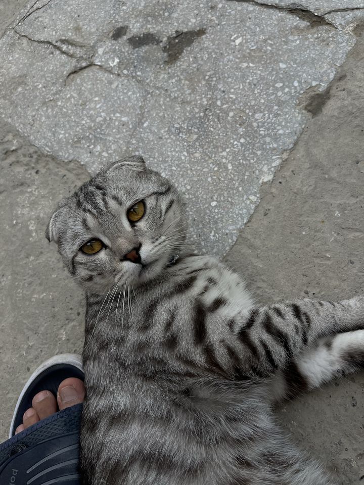 500 000 сум