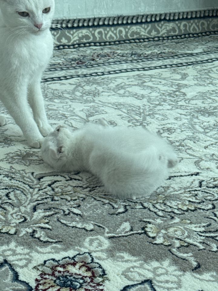 1 000 000 сум