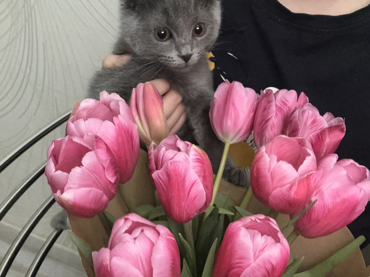 800 000 сум