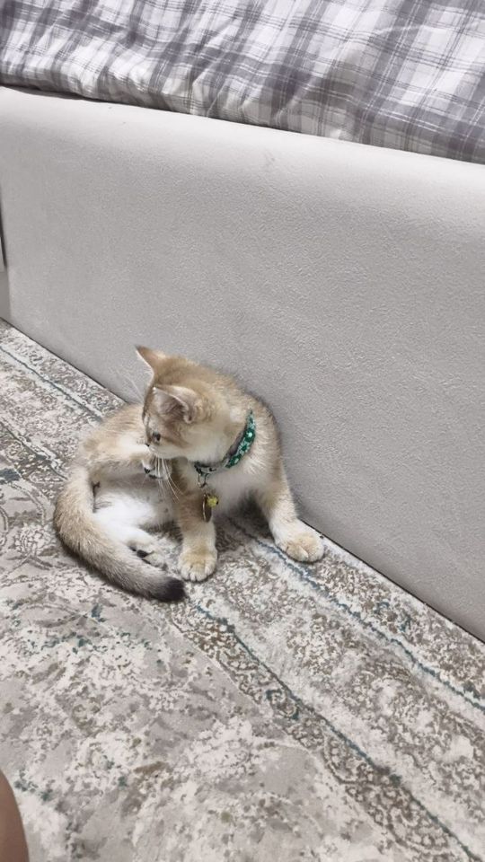 80 USD