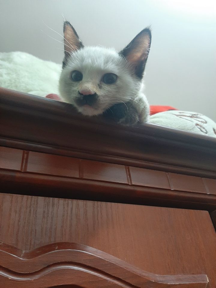 15 000 сум