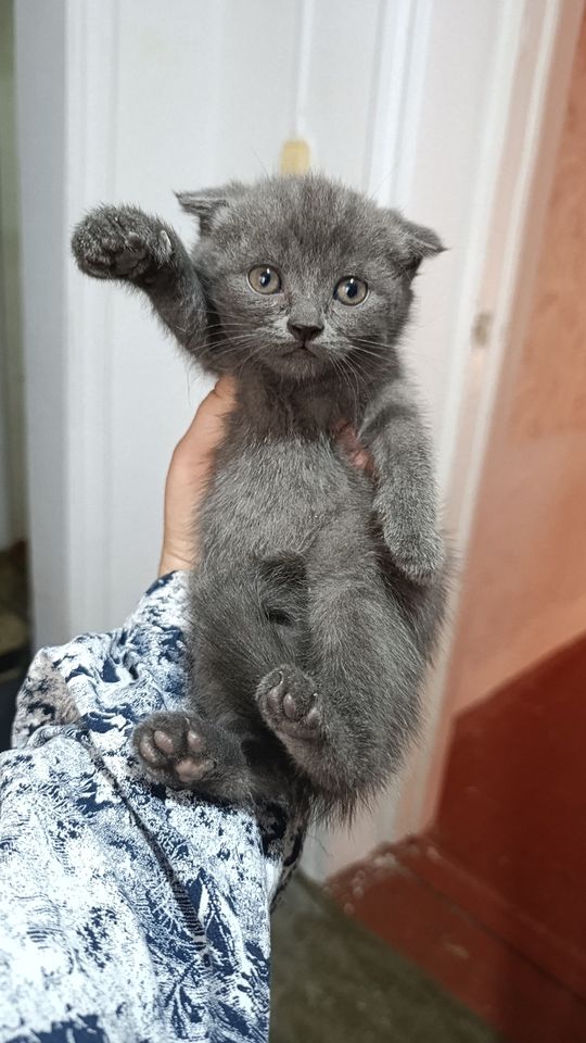 500 000 сум