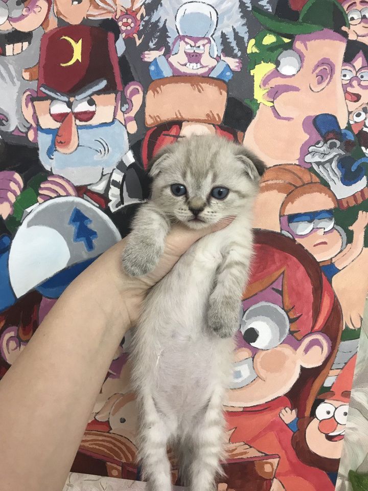 350 USD