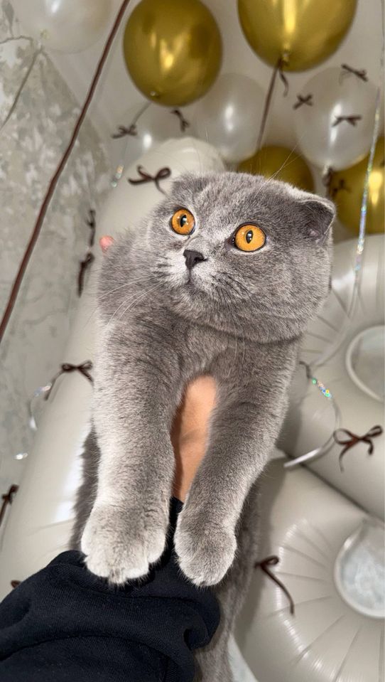 1 000 000 сум